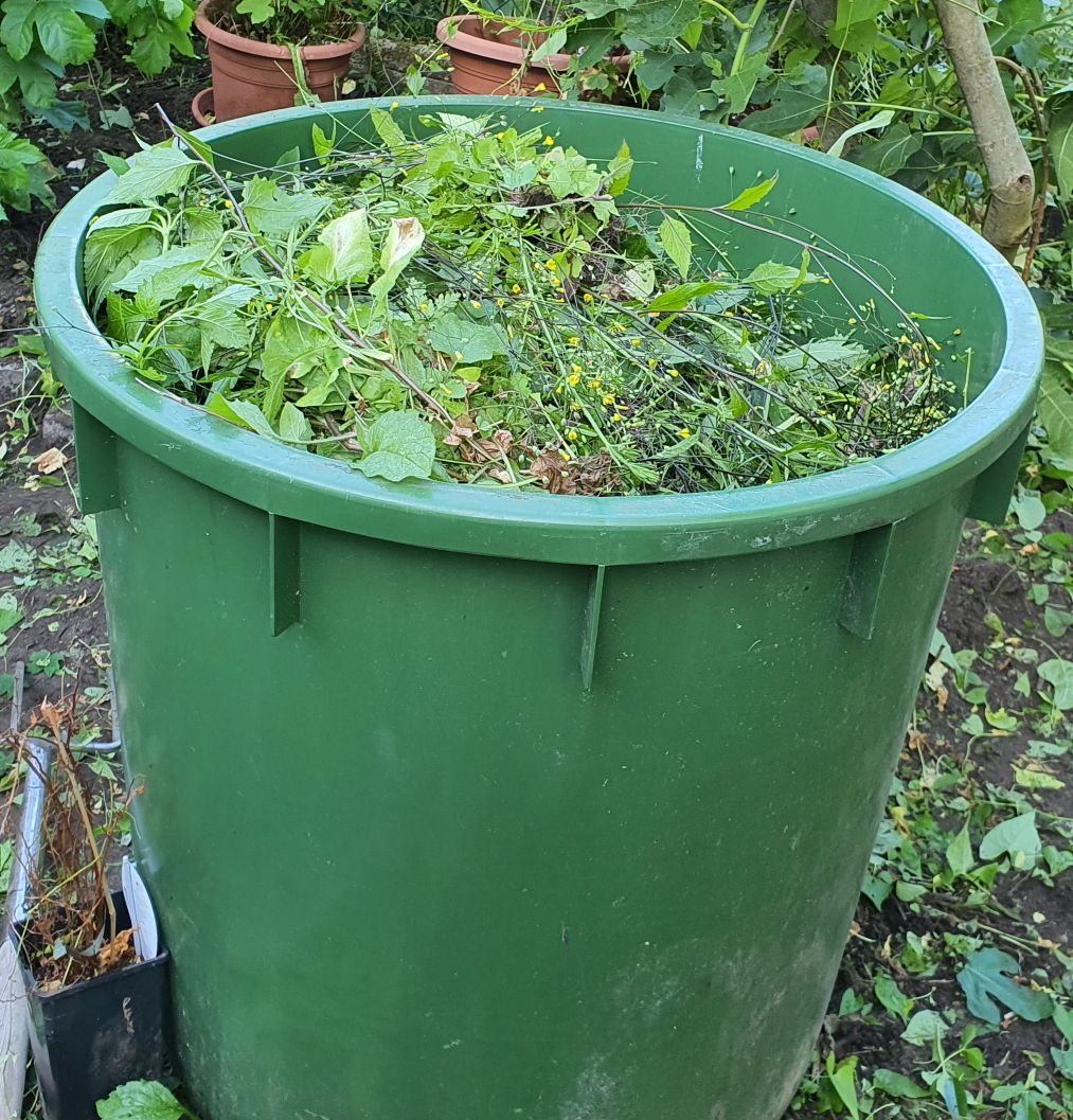 Immo, Garten, Regentonne ZXS, 20250629_074702