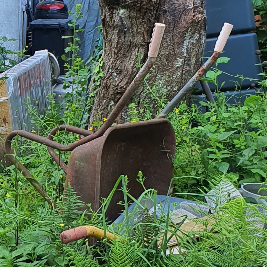 Immo, Haupt, Garten, Schubkarren, ZXS, 20250629_074728