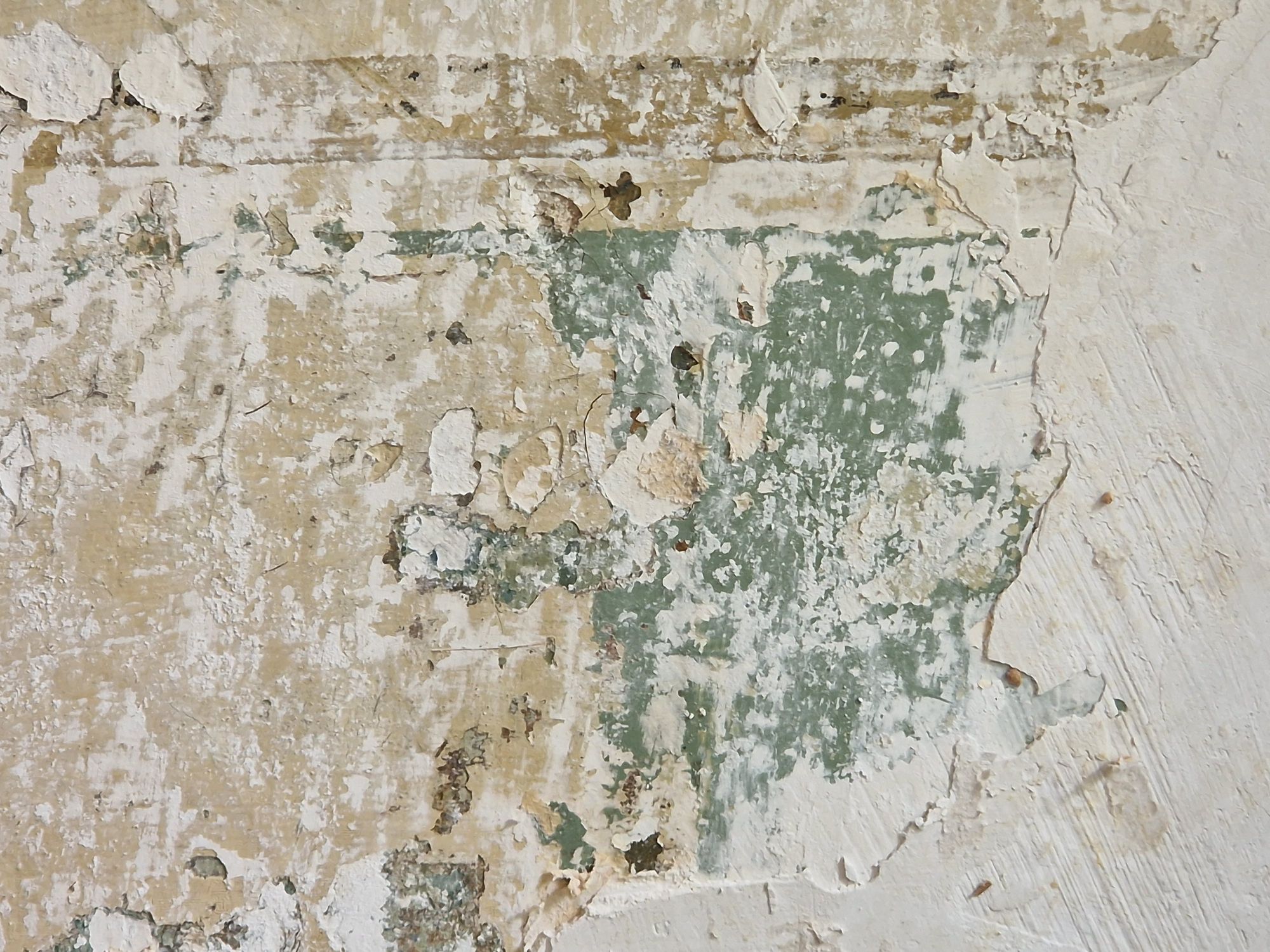 Immo, Haupt, Olfarbe, Wanddekoration, XS, 20250521_115122